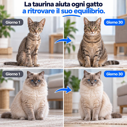 Integratore di Taurina per Gatti Kyria